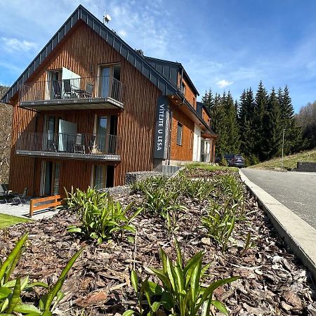 Apartmany U Lesa Dolní Morava Extérieur photo