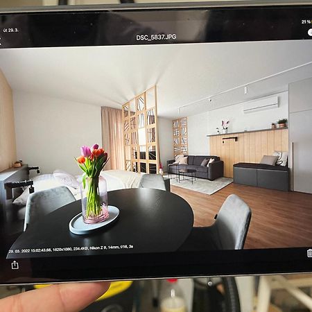 Apartmany U Lesa Dolní Morava Chambre photo