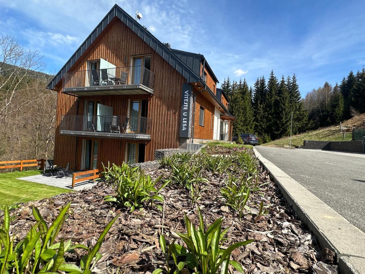 Apartmany U Lesa Dolní Morava Extérieur photo