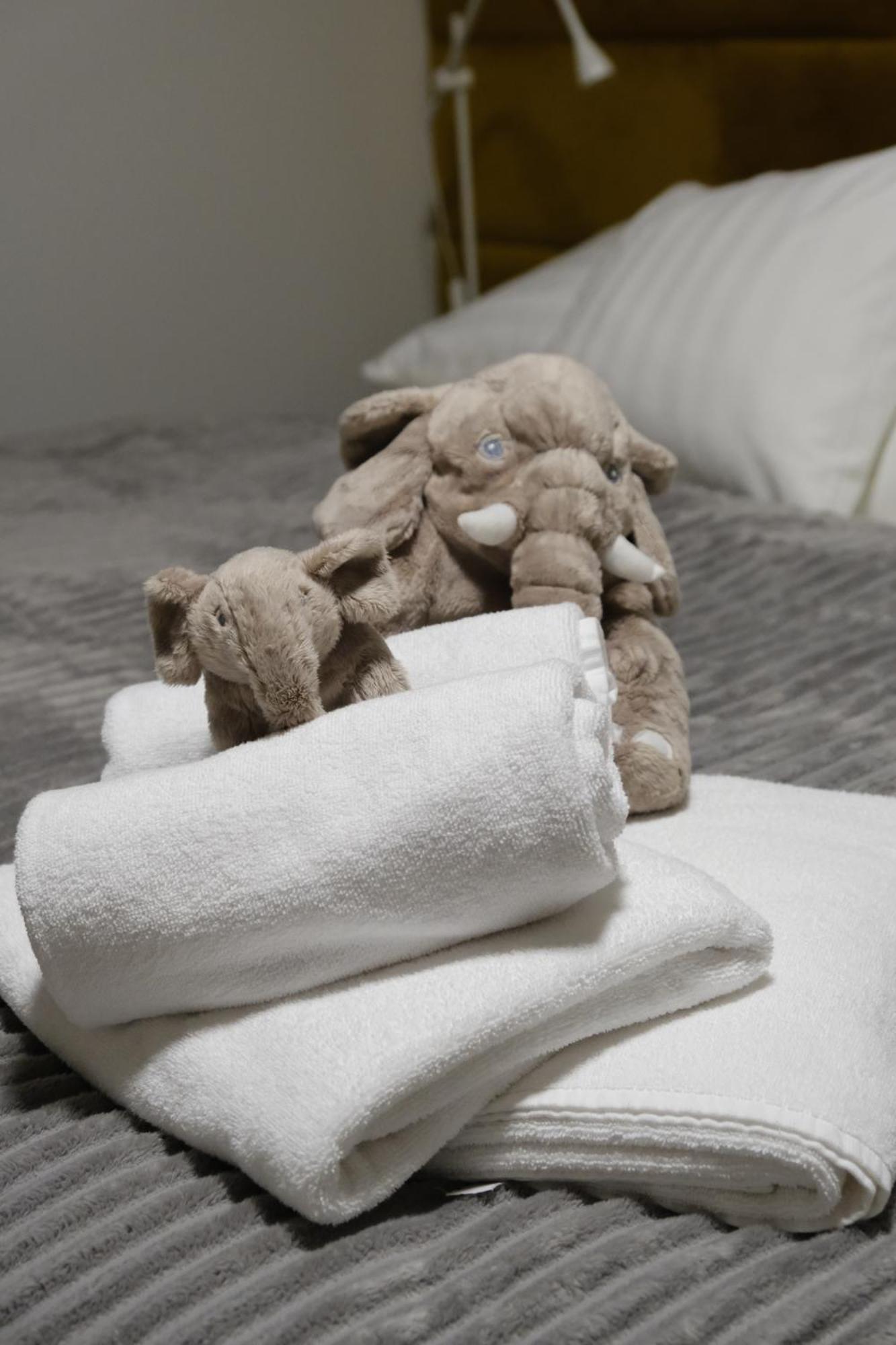 Apartmany U Lesa Dolní Morava Chambre photo