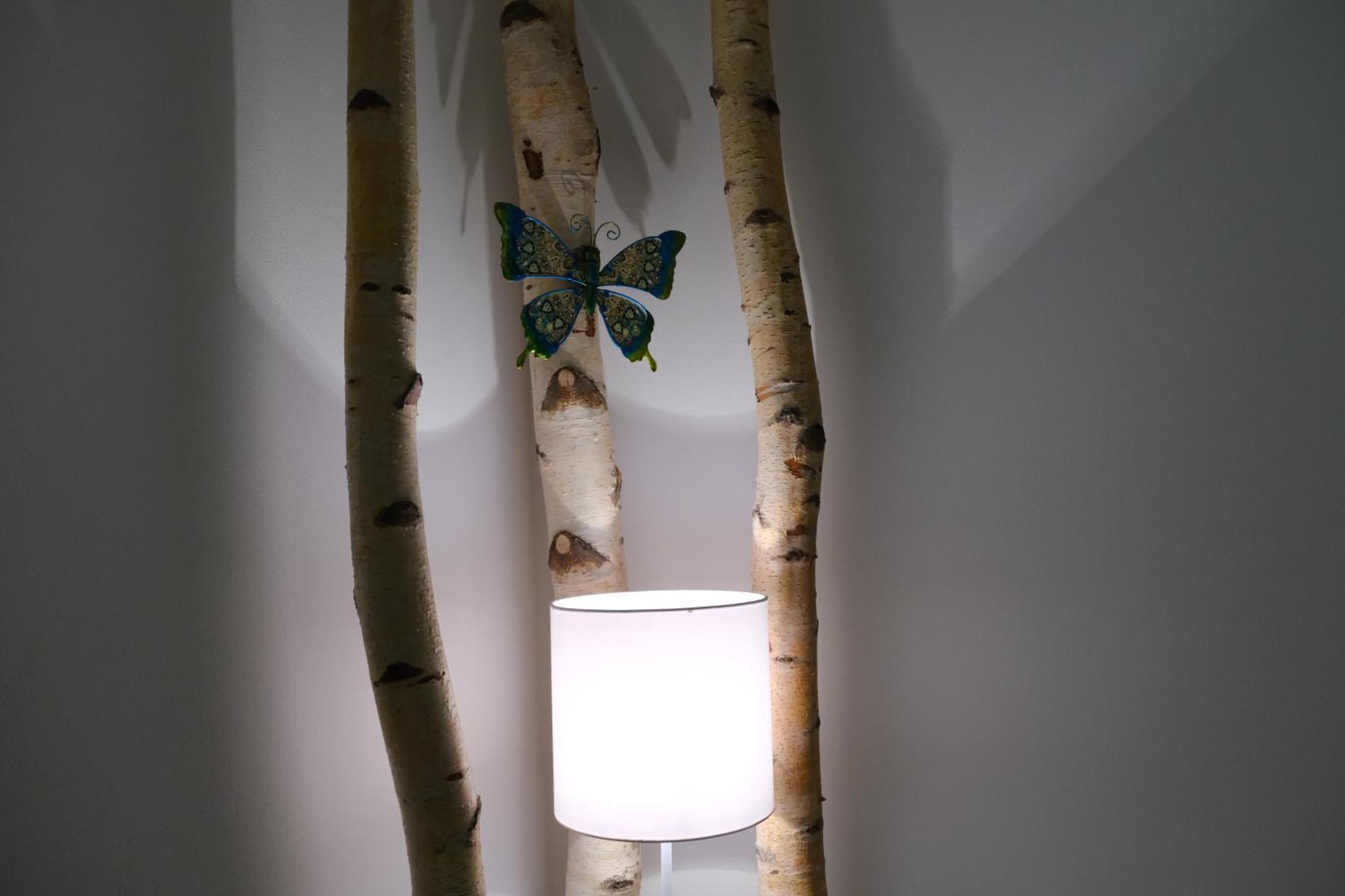 Apartmany U Lesa Dolní Morava Chambre photo